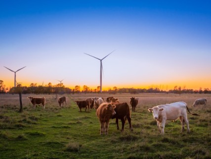 soluzione di biglietteria online per aziende agricole