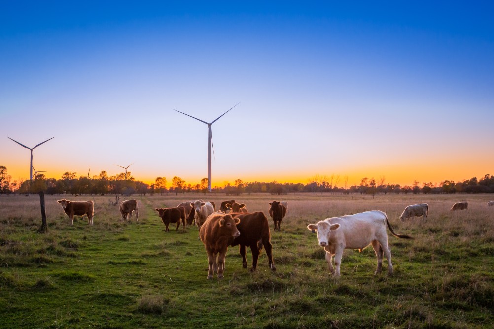 software di biglietteria online per aziende agricole