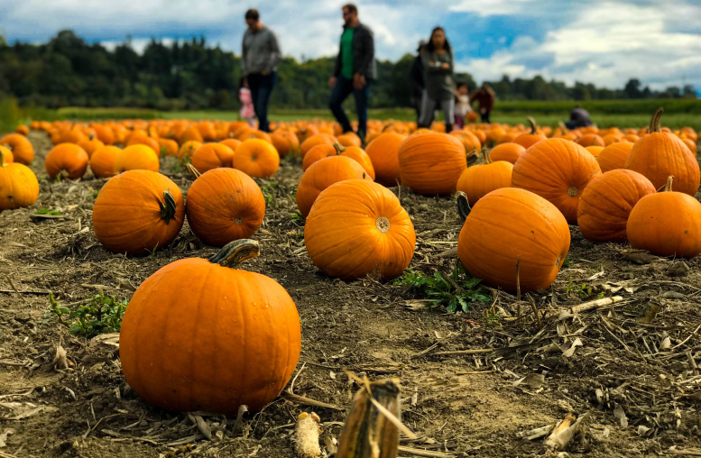 soluciones de venta de entradas para eventos de Halloween